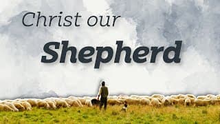 The Lord our Shepherd